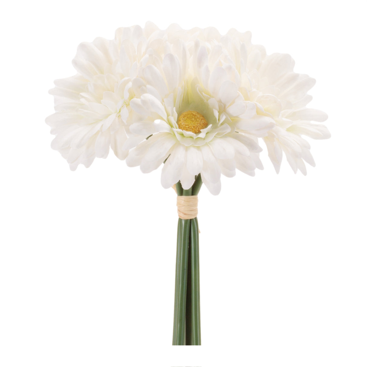 Gerbera daisy floral bundle (set of 6)