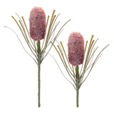 Protea floral stem (set of 2)