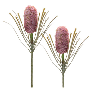 Protea-Floral-Stem-(Set-of-2)-Artificial-Flowering-Plants