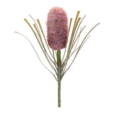Protea floral stem (set of 2)
