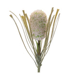 Protea floral stem (set of 2)