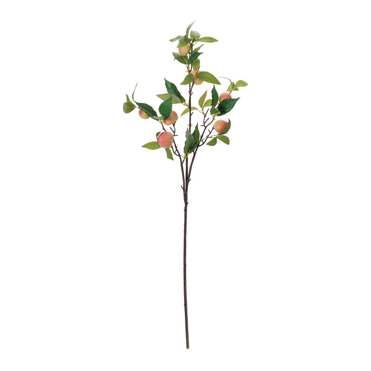 Peach fruit foliage branch (set of 6)