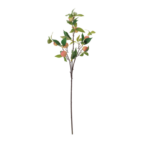 Peach fruit foliage branch (set of 6)