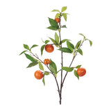 Orange fruit foliage branch (set of 6)