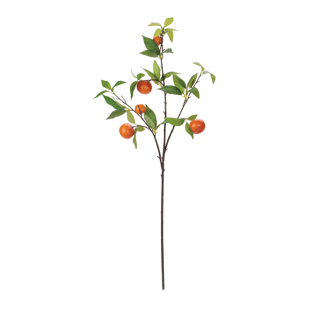 Orange fruit foliage branch (set of 6)