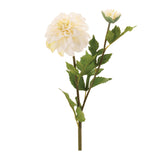 Dahlia flower stem (set of 6)