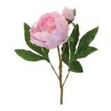 Peony floral spray (set of 6)