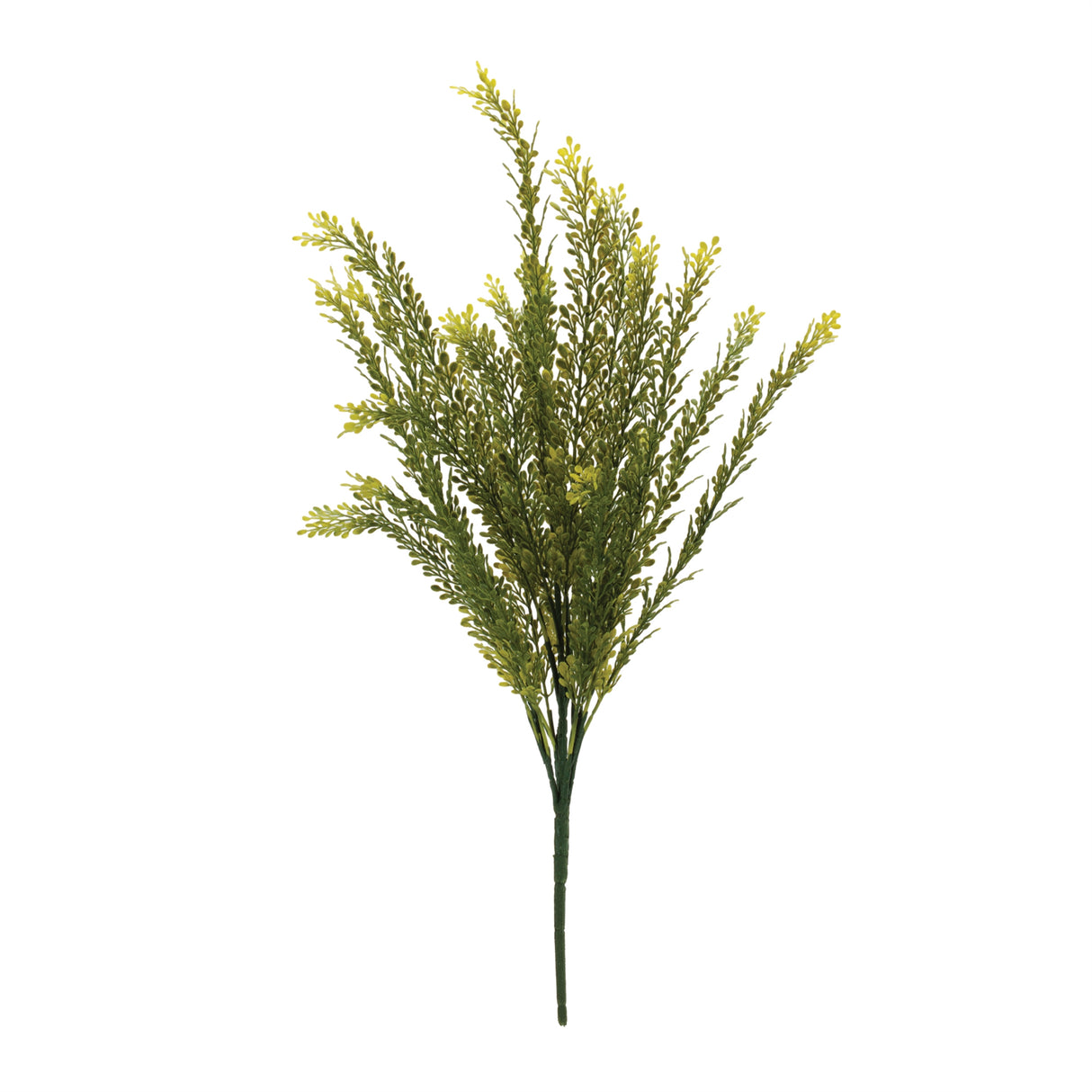 Baby tears foliage bush (set of 6)