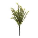 Baby tears foliage bush (set of 6)