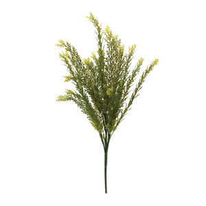 Baby Tears Foliage Bush (Set of 6)