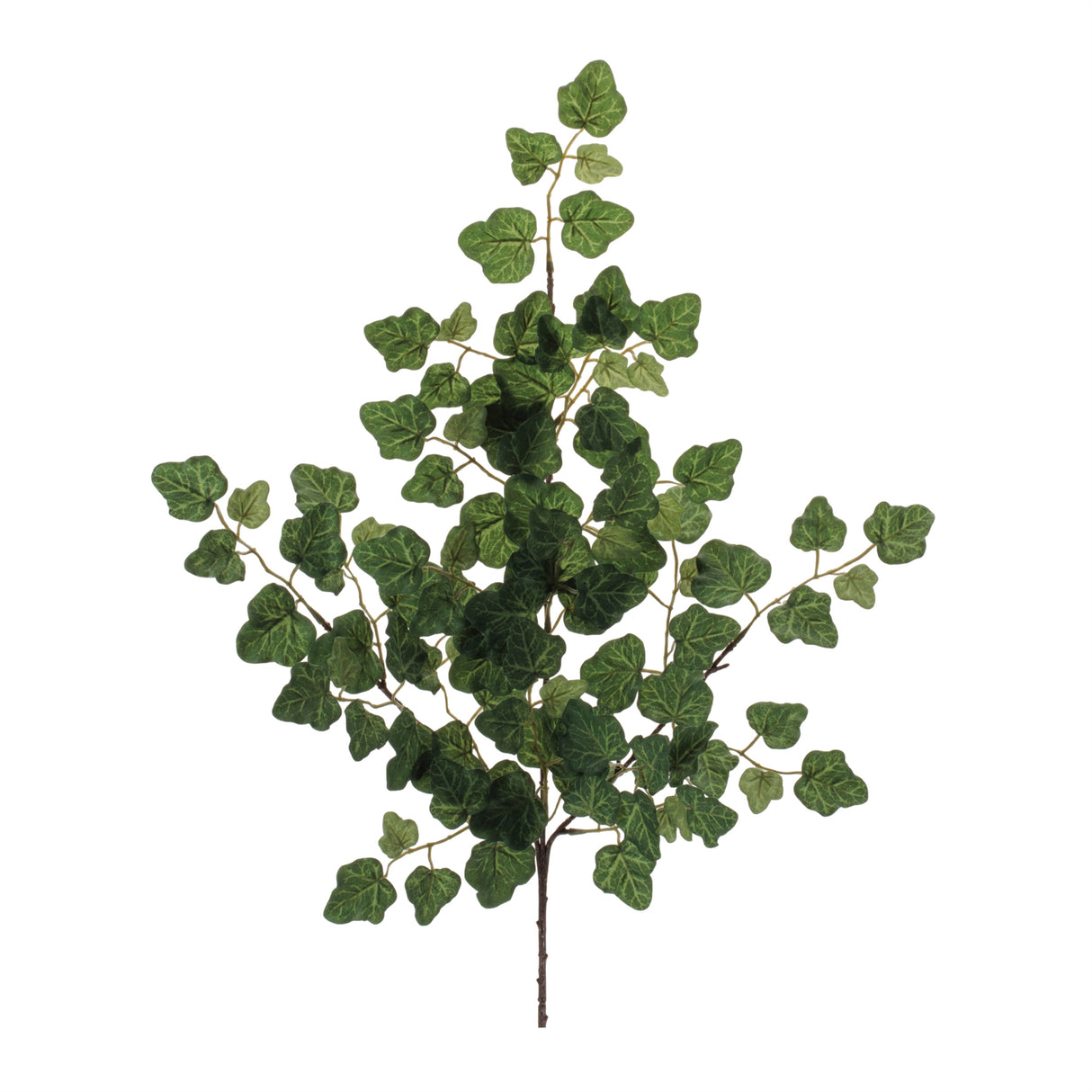 Ivy foliage spray (set of 6)