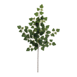 Ivy Foliage Spray (Set of 6)