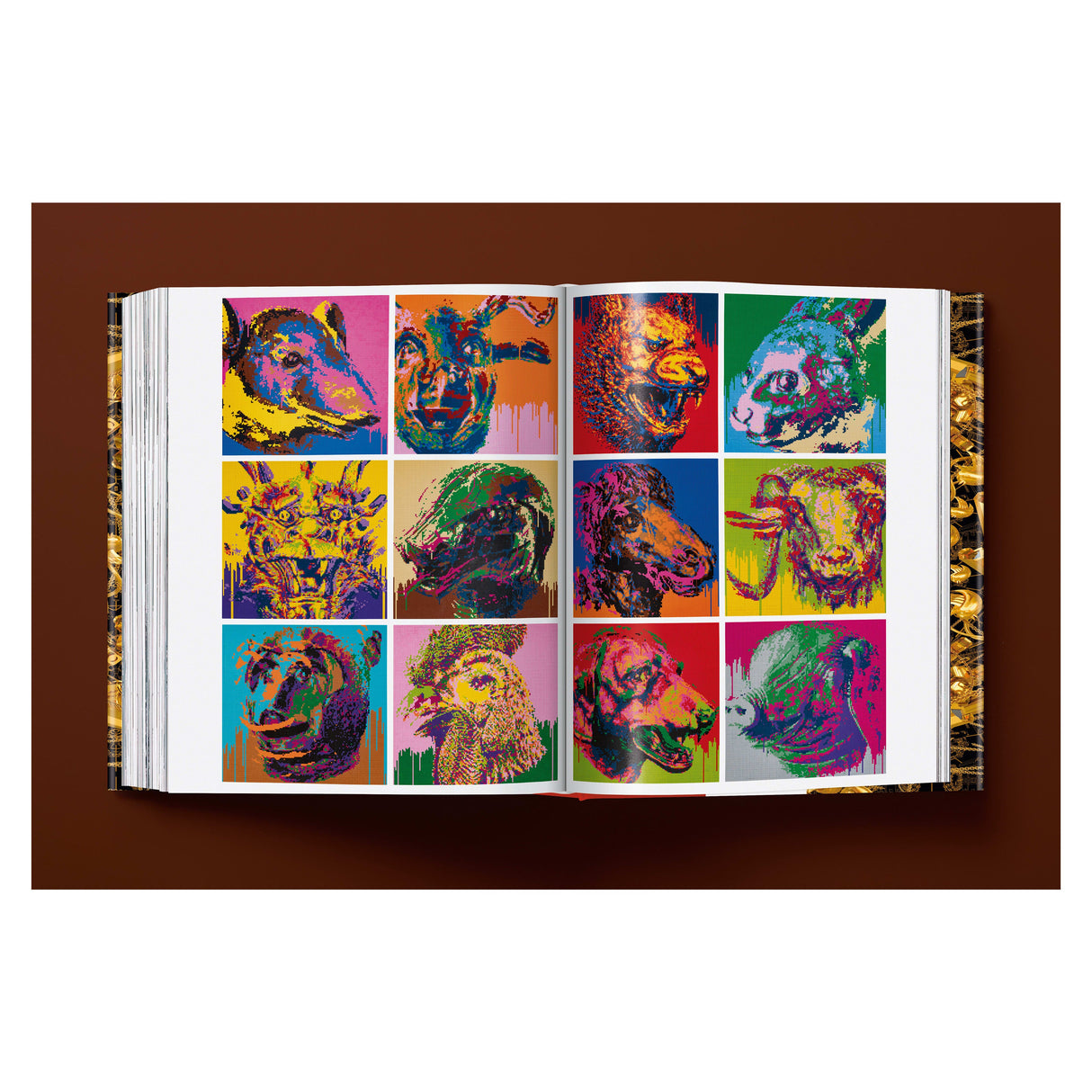 Ai Weiwei. Updated Edition (German, French, English)