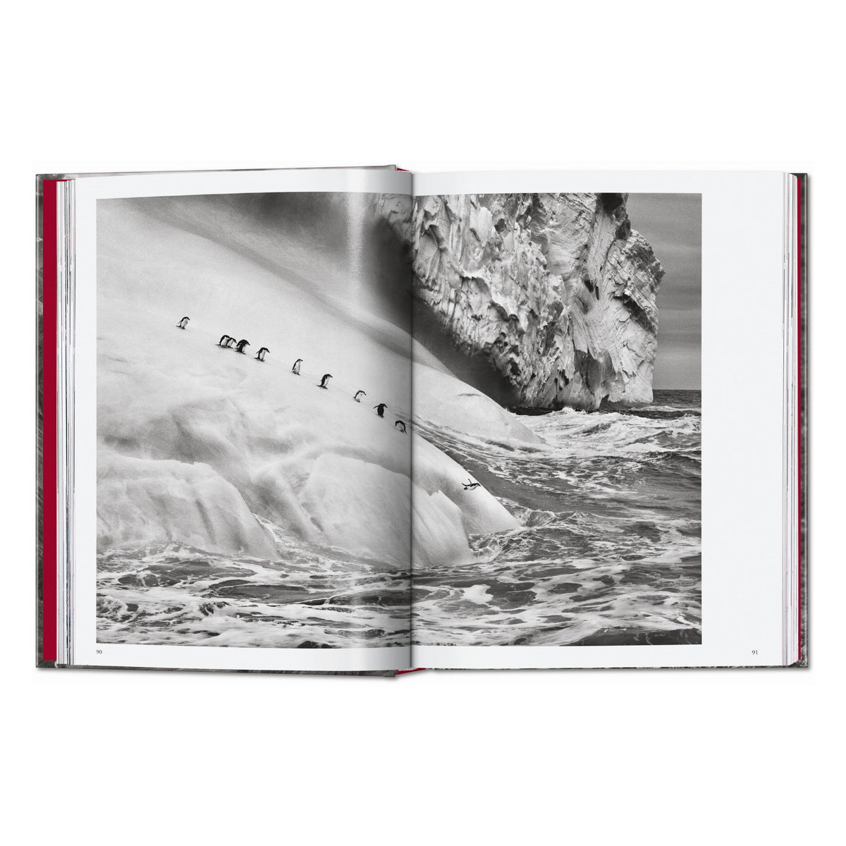 Sebastião Salgado. Genesis. 45th Ed. (English)