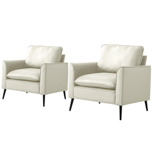 TS Cat Paw Leather Upholstered Sofa 2PC
