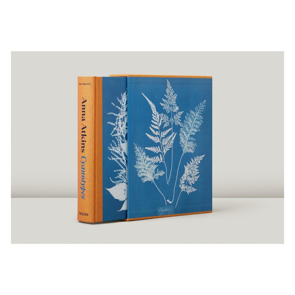 Anna Atkins. Cyanotypes (German, French, English) (FFE)
