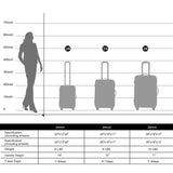 Hardshell Luggage Sets 3 Pcs Spinner Suitcase with TSA Lock