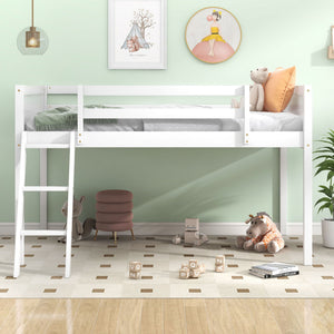 Low Loft Bed With Adjustable Ladder