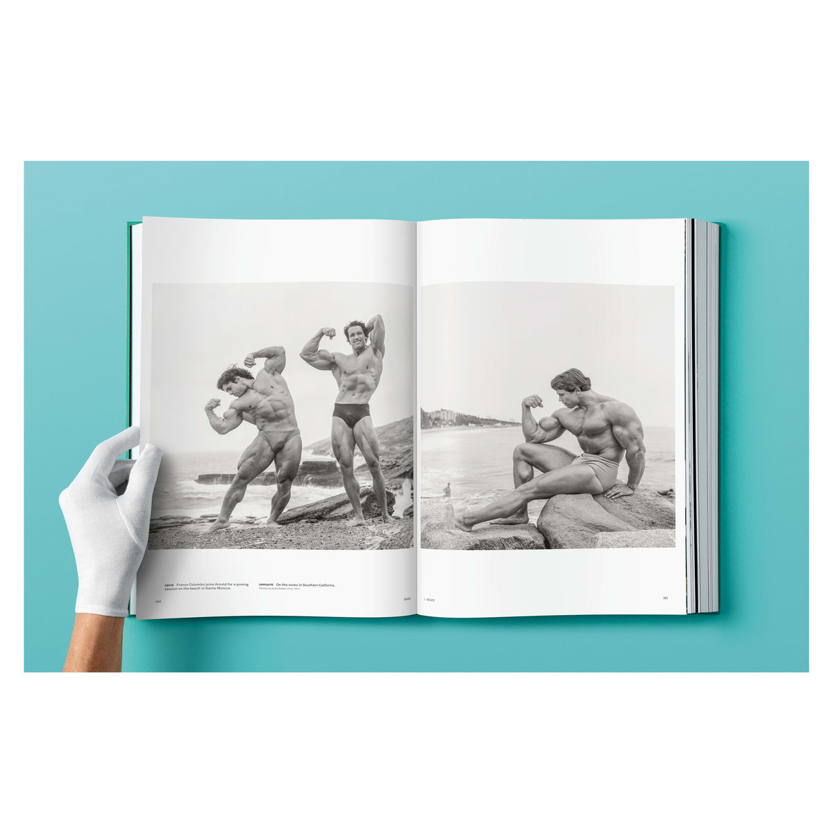 ARNOLD (English)