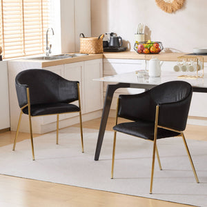 Modern Upholstered Dining Chair with Frame and Plush Comfort