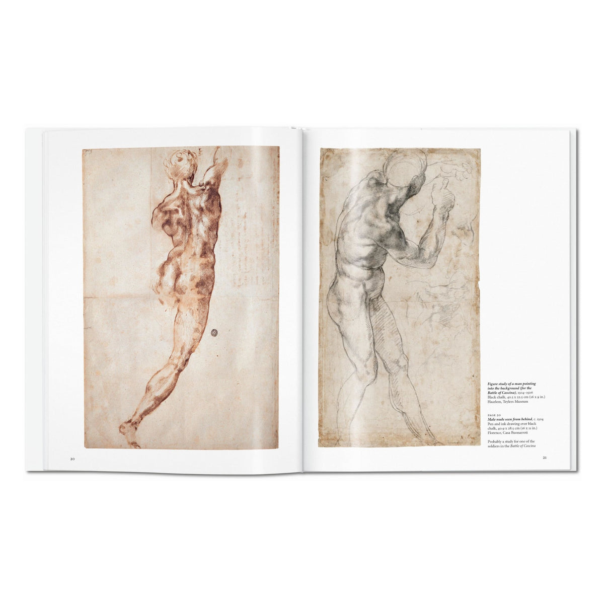Michelangelo (English)