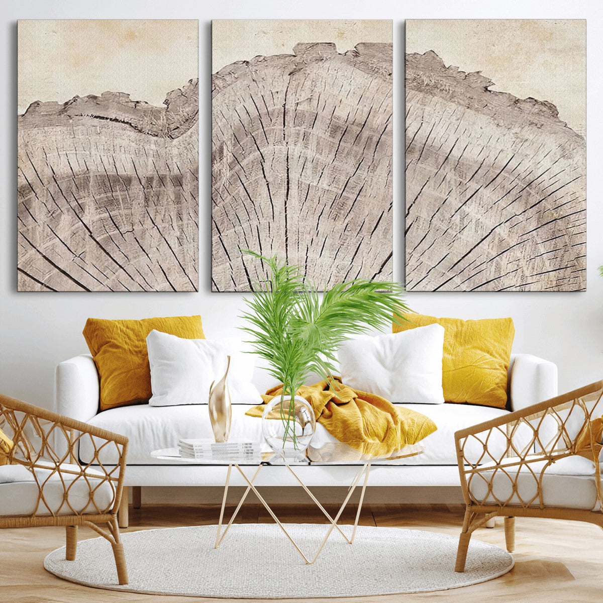 Tree Ring Wall Art Triptych, Rustic Wood Ring Canvas Print,