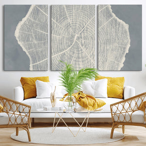 Abstract Tree Ring Wall Art Canvas Print – Nature-Inspired,