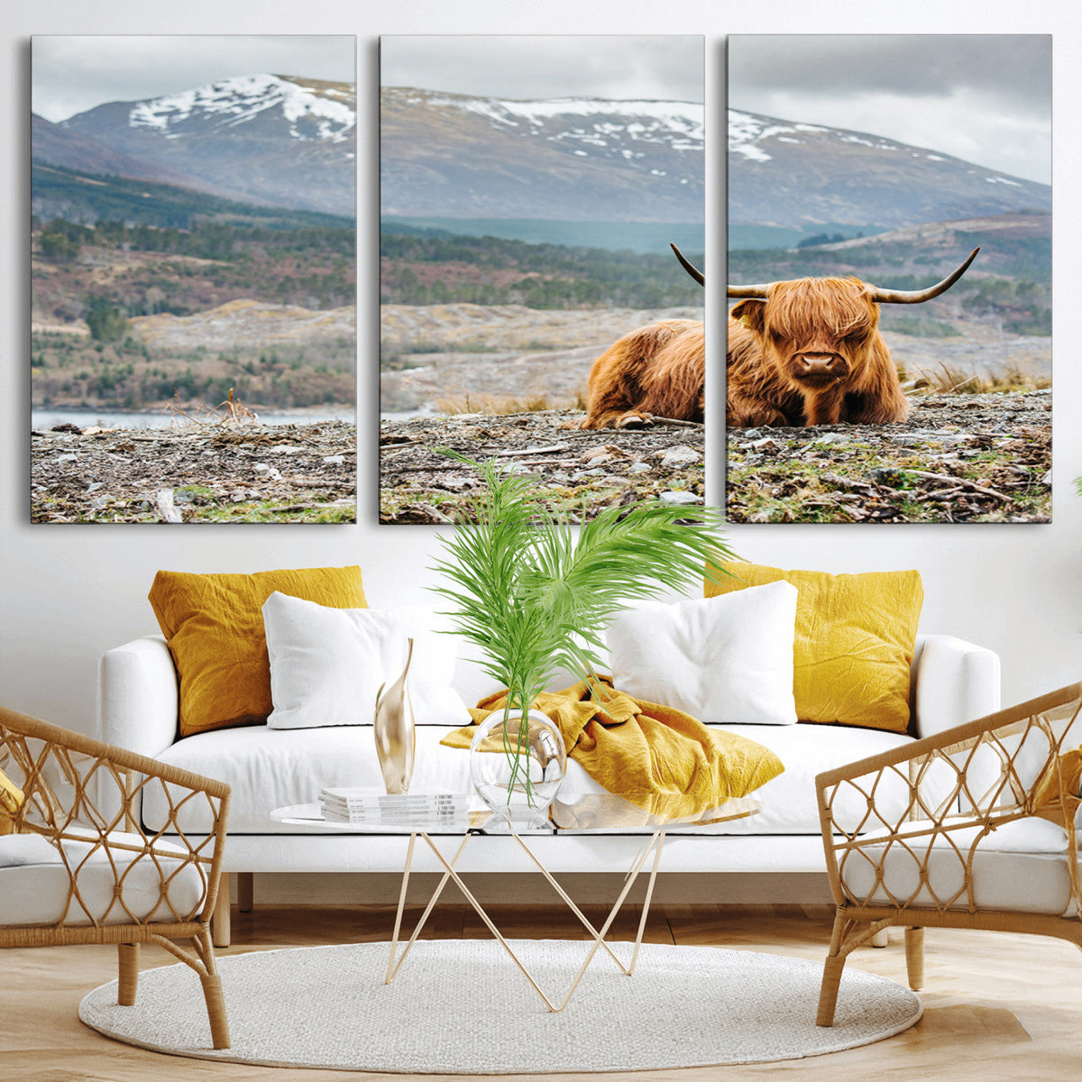 Highland Cow Horn Farm Wall Art Canvas Print