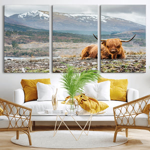 Highland Cow Horn Farm Wall Art Canvas Print