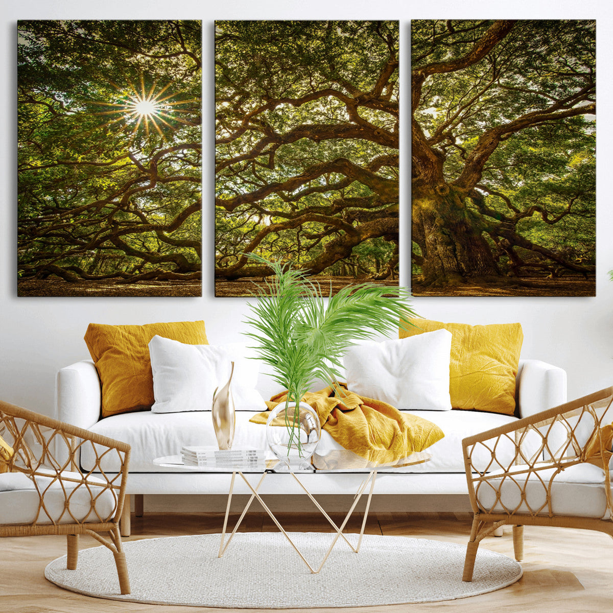 Ancient Angel Oak Tree Art Sunburst Canvas Print-