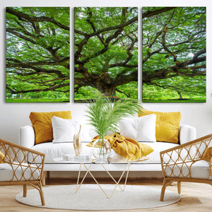 Angel Oak Tree Wall Art Canvas Print – Framed Majestic
