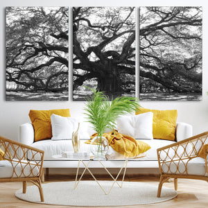 Ancient Oak Wall Art Canvas Print, Majestic Twisted Branches
