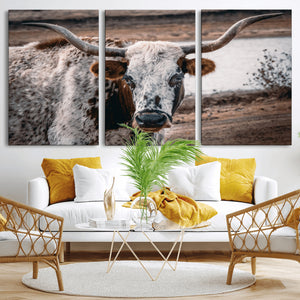 Texas Longhorn Wall Art Canvas Print – Framed Spotted Bull