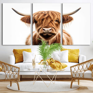Scottish Highland Cow Canvas Print, Framed Highland Cow