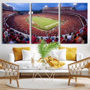 Dooley Stadium Wall Art, Sports Arena Canvas Print, Dooley