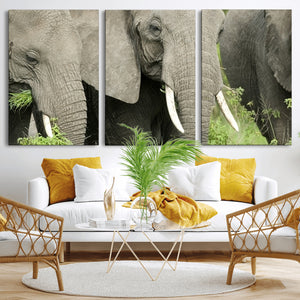 Wild Elephant Wall Art Canvas Print