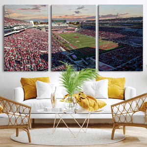 Donald W. Reynolds Razorback Stadium Wall Art Canvas Print –