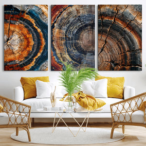 Tree Ring Triptych Canvas Wall Art — Set of 3 Wood Grain