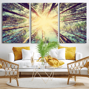 Tree and Sunshine Canvas Print
