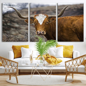 Texas Longhorn Canvas Wall Art - Longhorn Steer Canvas Wall