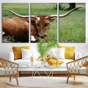 Longhorn Cow Animal Wall Art Canvas Print