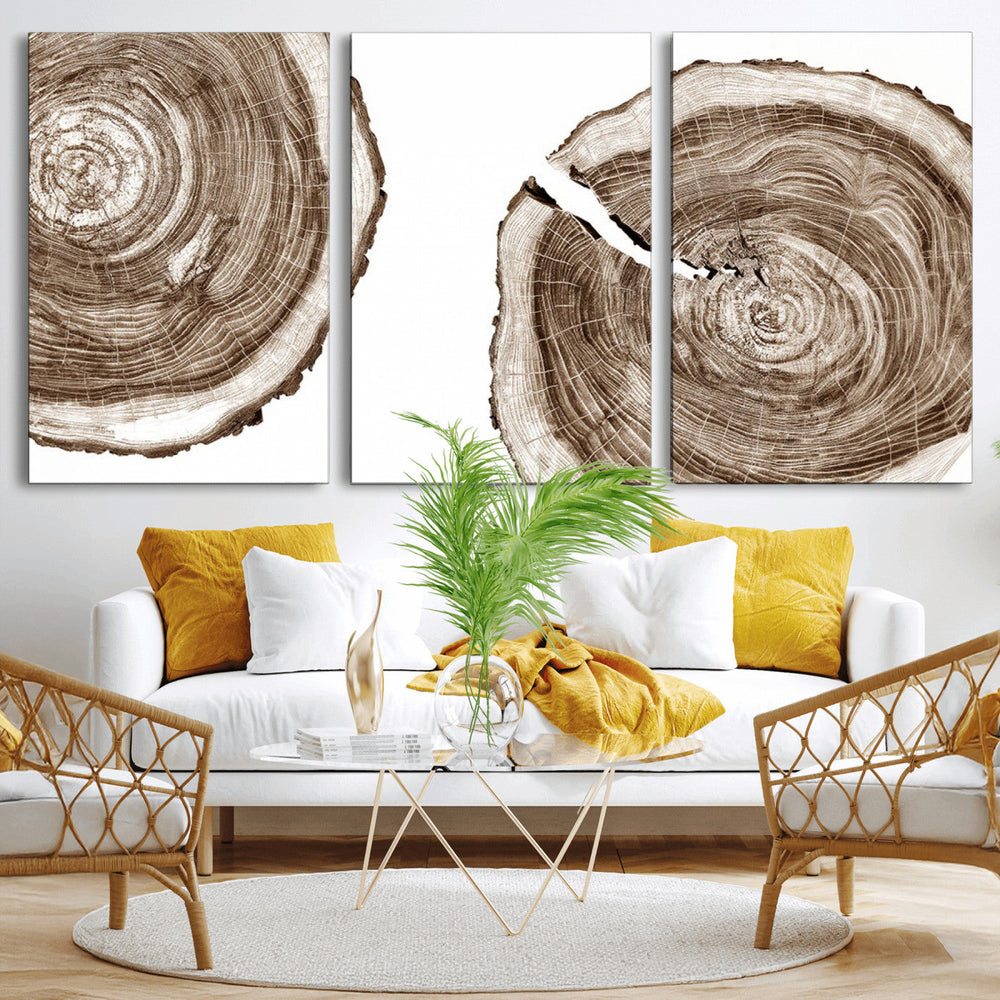 Wood Tree Ring Wall Art Canvas Prints, Tree Rings –