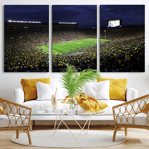Michigan Wolverines Football Canvas Wall Decor, Football