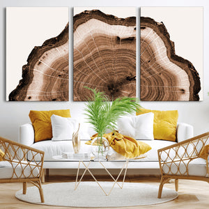 Rustic Wood Rings Wall Art | Nature-Inspired Tree Ring
