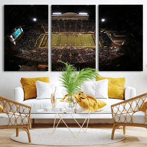 Wake Forest University Demon Deacons Canvas Printi, Football