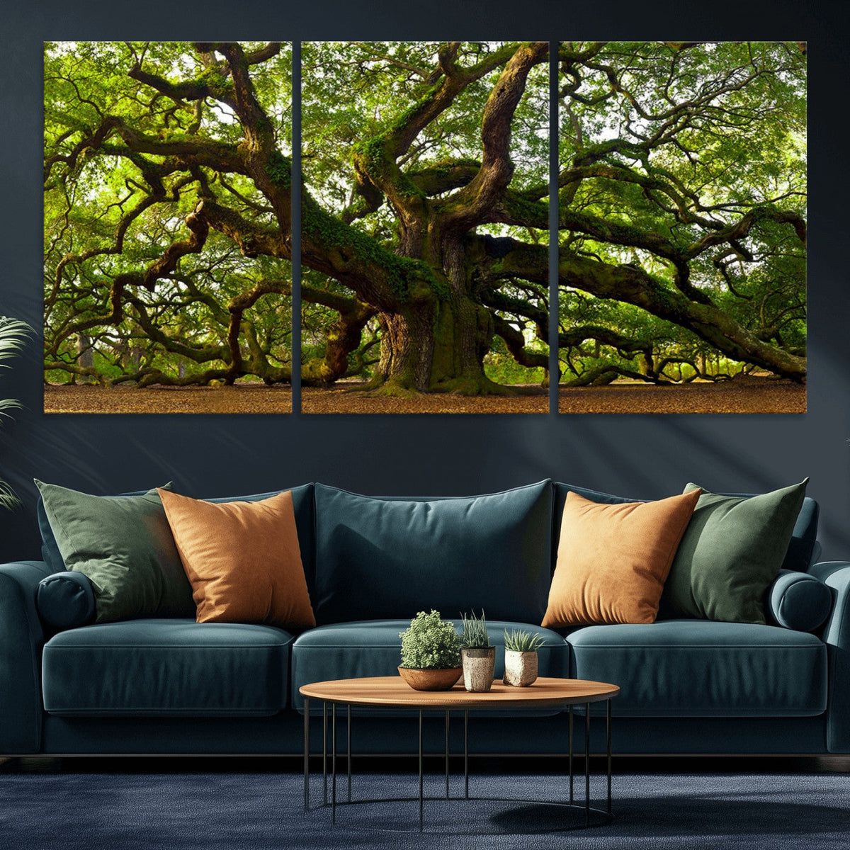 Angel Oak Tree Wall Art Canvas Print | Forest Tree Nature