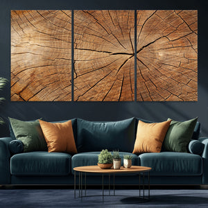 Tree Ring Canvas Art, Rustic Wood Grain Wall Art, Tree Slice