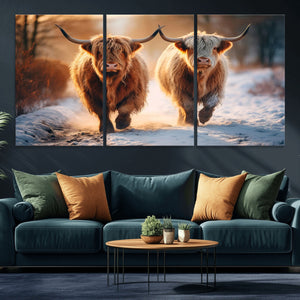Scottish Highland Cow Horn Farm Wall Art Canvas Print