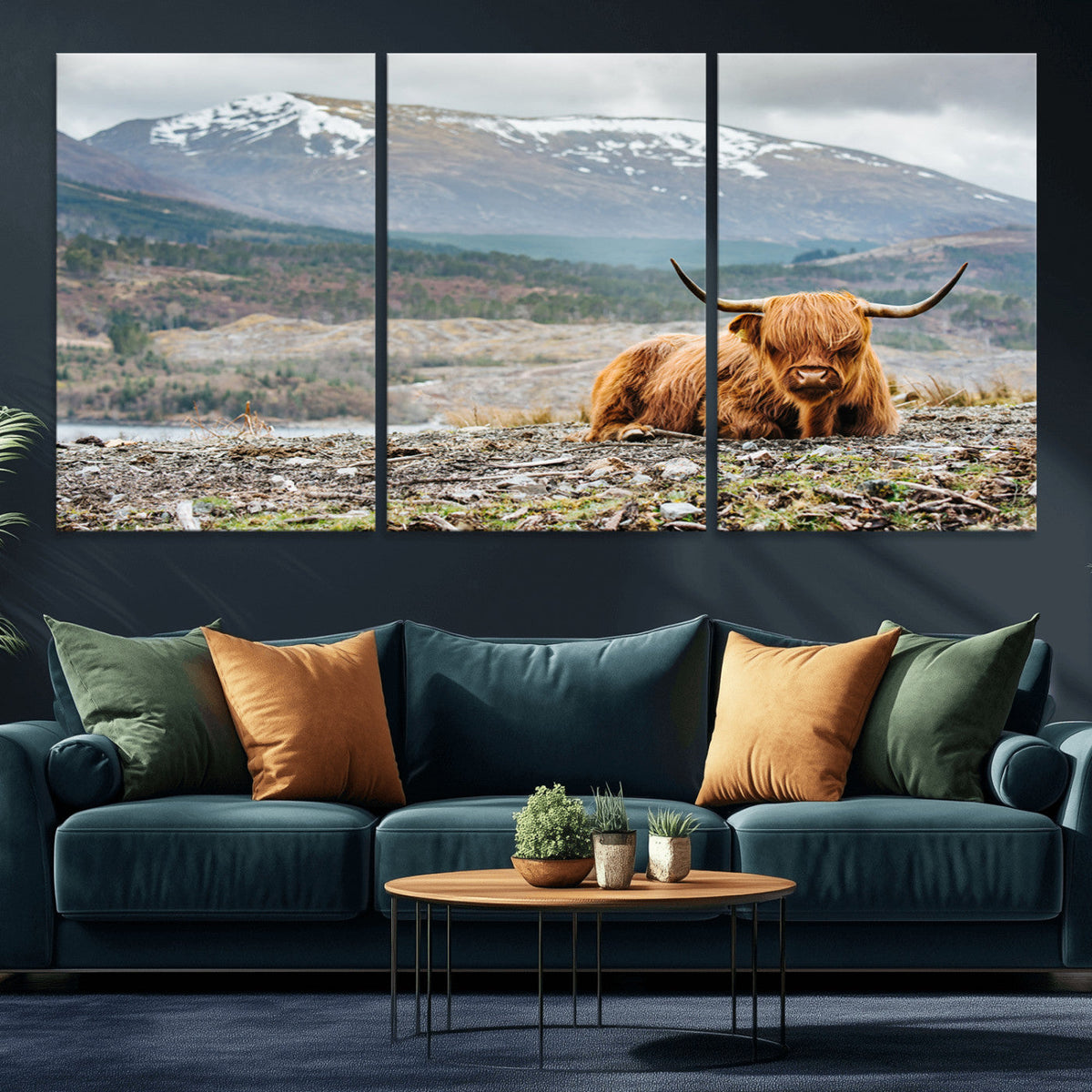 Highland Cow Horn Farm Wall Art Canvas Print