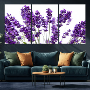 Lavender Flower Wall Art Canvas Print